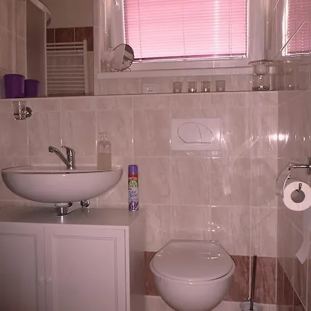 Apartment Apartman Velke Losiny Velké Losiny